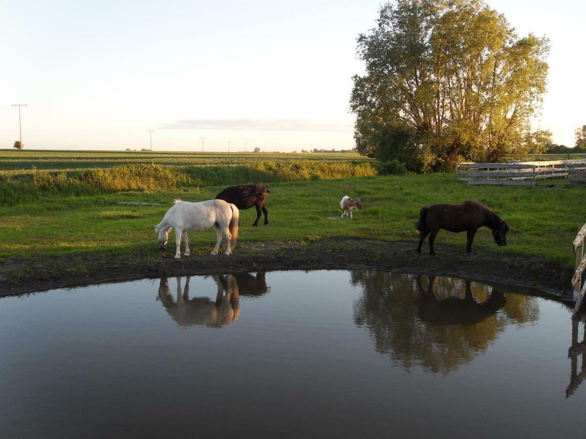Horse Lake Ranch Neuendorf  Eksteriør bilde